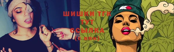 мдпв Горняк