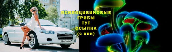прущие грибы Аксай