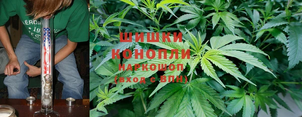 прущие грибы Аксай
