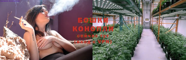 дмт Горно-Алтайск