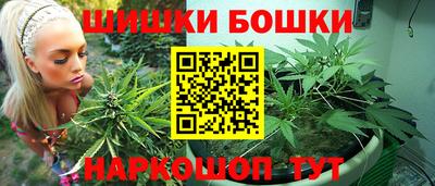 амф Можга