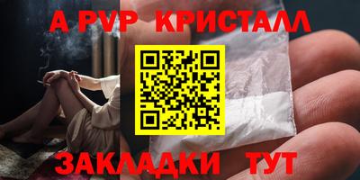амф Можга